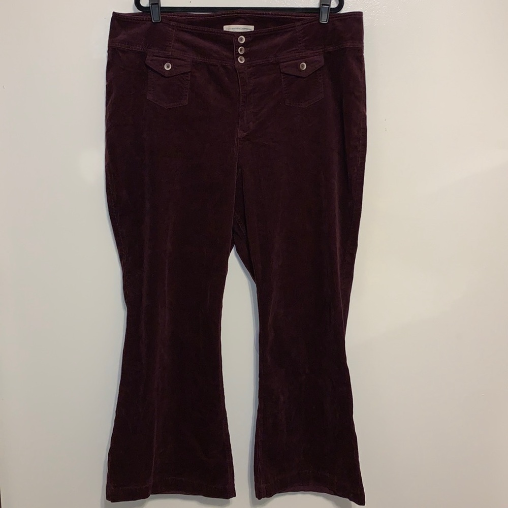 NWT Pilcro & the Letterpress Anthropologie bootcut Cordaroy pants